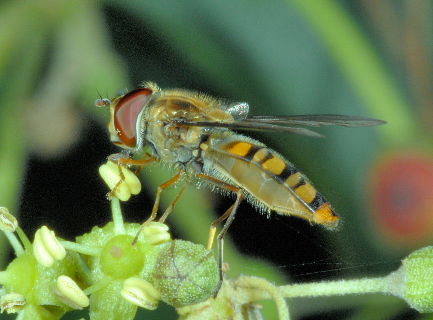 Queste vi consiglio proprio di guardarle!